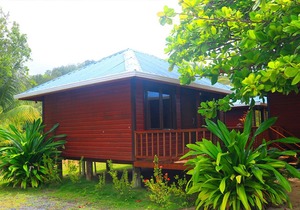 Cabin 2 - Calabash Bight Cabins with Breakfast, Beach & Kayaks