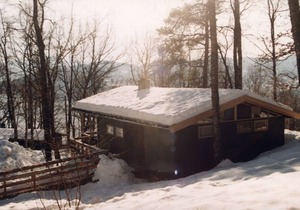 Cabin in meditative oak woods (Neshagen 2)