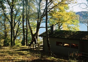 Cabin in meditative oak woods (Neshagen 2)