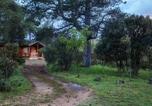 Cabins El Llano de los Conejos - Cabin 4