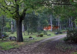 Cabins El Llano de los Conejos - Cabin 4