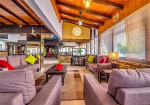 Cactus Larnaca