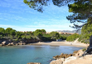 CALAFAT 7