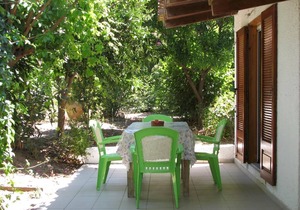 Calm located, amid an olive grove, close to the beach, wifi holiday house Ilia, Peloponnese