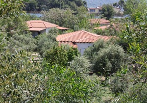 Calm located, amid an olive grove, close to the beach, wifi holiday house Ilia, Peloponnese