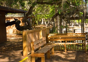 Camp Mack, a Guy Harvey Lodge, Marina & RV Resort