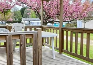 Camping le Lignon* - Mobile home Lilas 2 rooms 2/3 people