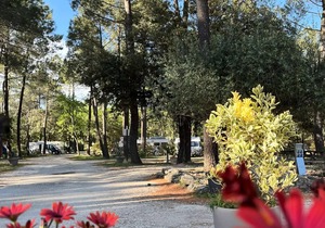 Campsite La Simioune in Provence * - Mobile home Air-conditioned PROVENCE -2 bedrooms + TV (2 adults + 2 children) 2 to 4 people - 2 pers. included in the tariff