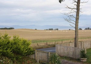 Canterra Cottage Room 2