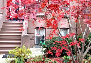 Carroll Gardens, Brownstone 2 Bedroom with garden, one block to F/G station