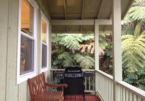 Carson's Kaloko Mountain Cottage