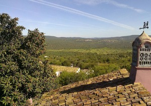 Casa Adega - Quinta Amoreira