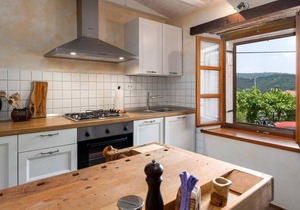 Casa Bombić, surrounded by vineyards, olive groves and orchards