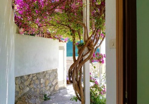 Casa Cleo Sperlongaresort