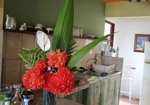 Casa Copalchi