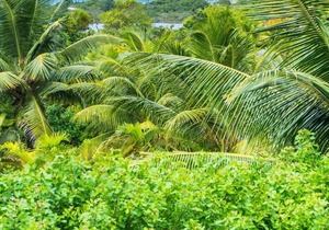 Casa Costa Sauipe
