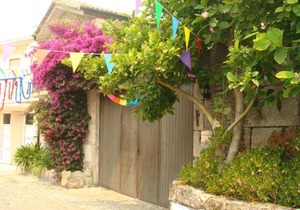 Casa das Magnólias de Igarei