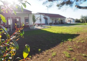 Casa das Pipas #5