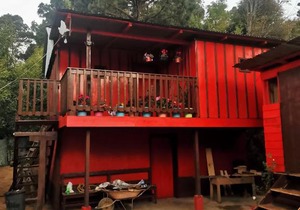 Casa del bosque
