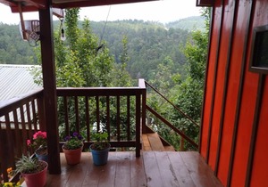 CASA DEL BOSQUE