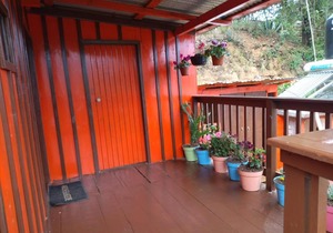 CASA DEL BOSQUE