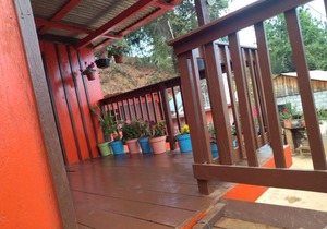 CASA DEL BOSQUE