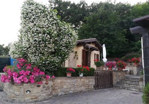 Casa delle Noci B&B