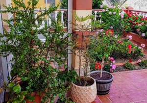 Casa Junonia Apartments, with terrace, Bajo B