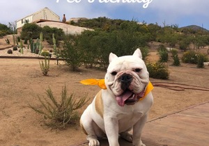 Casa Misiones Glamping