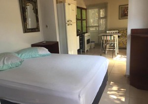 Casa Mico Leão Dourado