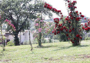 Casa Norberto A, fully refundable with voucher*: A graceful apartment surrounded by meadows and by green hills.