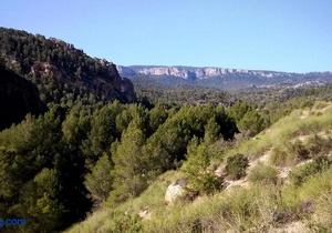 Casa Rural Puente Del Segura