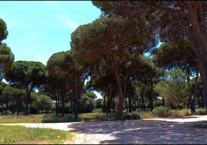 Casa Rural Zara I