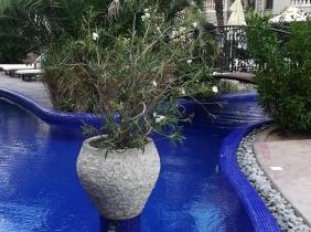 Cascadas Family Resort - apartment private