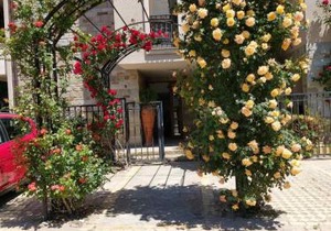 Cascadas Studio