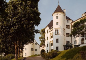 Castle Suite (half board) - IMLAUER Hotel Schloss Pichlarn