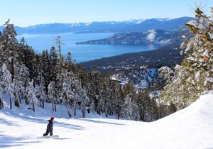 Cedars West
