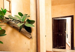 Cedro House in Trastevere