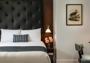 Center of Historic Roanoke, Boutique Hotel Close to Restaurants, Museums & More!