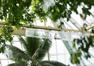 Center Parcs Vossemeren