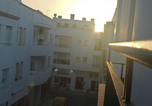 Central apartment, small pets accepted