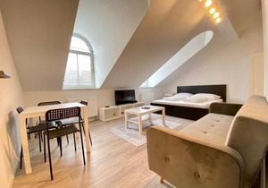 Central Apartment in Vienna near metro (800m) - T21
