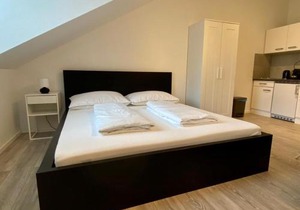 Central Apartment in Vienna near metro (800m) - T21