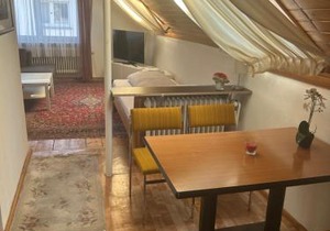Central Apartment Rödermark 3SZ