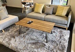 Central Park Gemini Apartment B