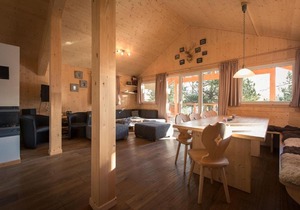 Chalet Alpenpark Turracherhöhe 1