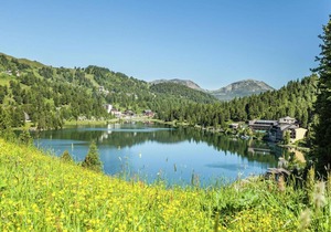 Chalet Alpenpark Turracherhöhe 4