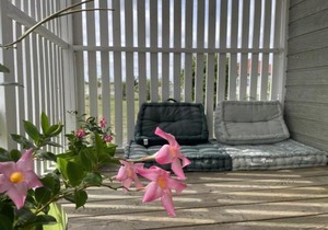 Chalet au bord de l'eau avec terrasse, pêche, baignade surveillée, buvette et activités extérieures - FR-1-489-360