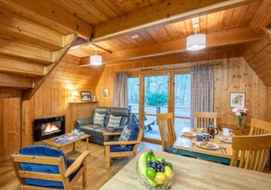Chalet Birchwood Cottage by Interhome