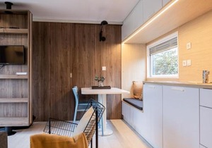 Chalet in Friesland near Alde Feanen Park